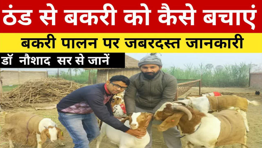 animal husbandry - ShareChat