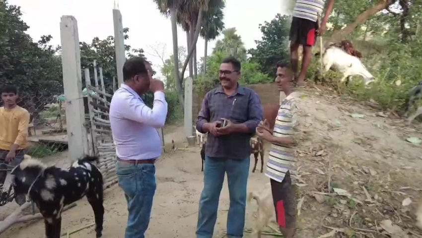 animal husbandry - ShareChat