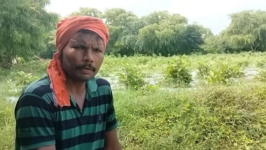 machinary - ShareChat