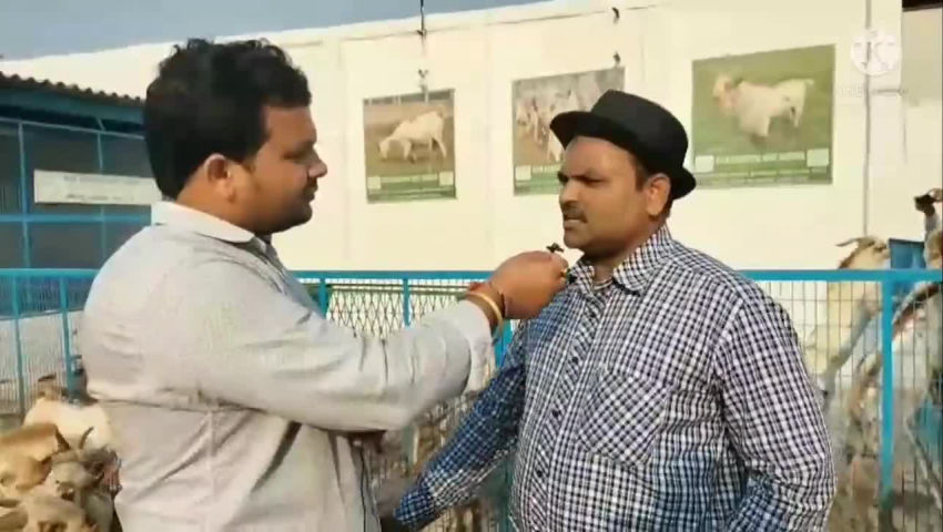 animal husbandry - ShareChat