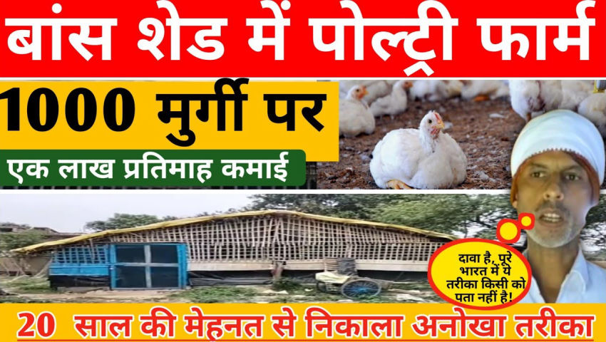 animal husbandry - ShareChat