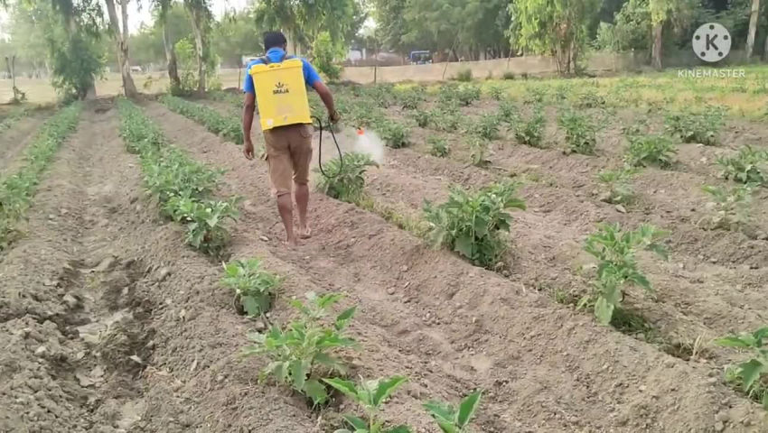 crop - ShareChat