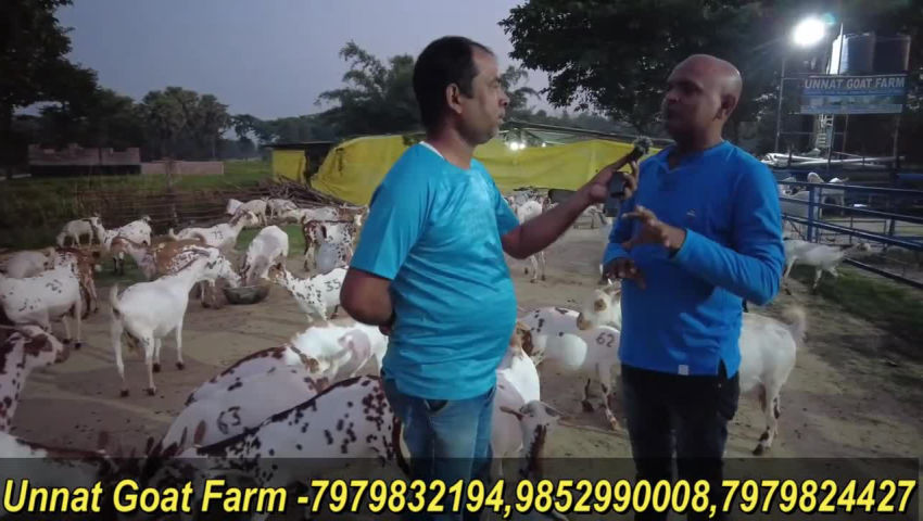 animal husbandry - ShareChat