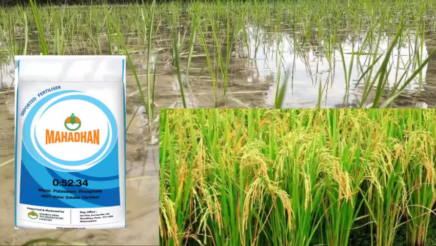 crop - ShareChat