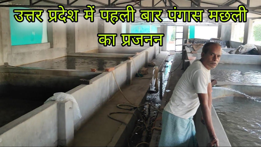 animal husbandry - ShareChat