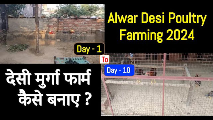 animal husbandry - ShareChat